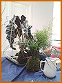 Taller Kokedama